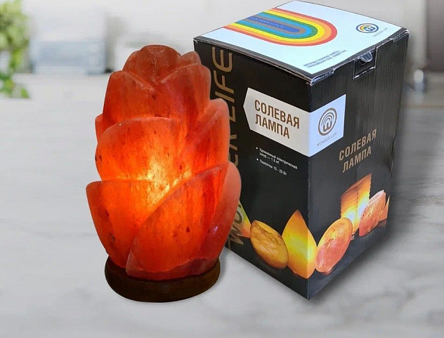 Лампа солевая Wonder Life "Цветок"